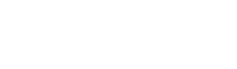 Guaguas Municipales